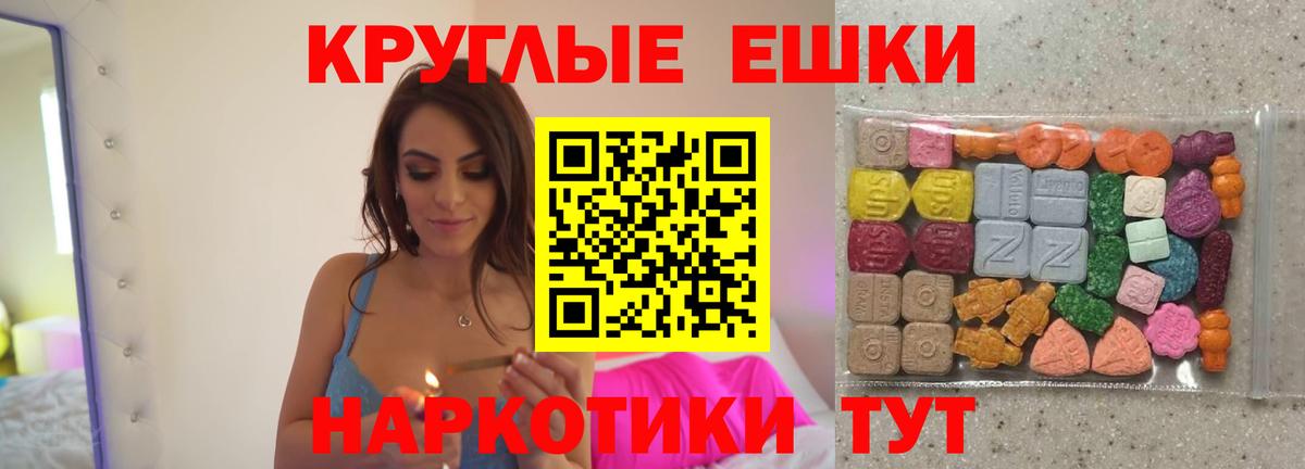 Ecstasy Philipp Plein  Вход с VPN  Сыктывкар 