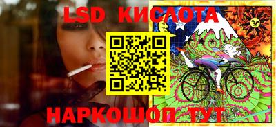 стафф Славгород