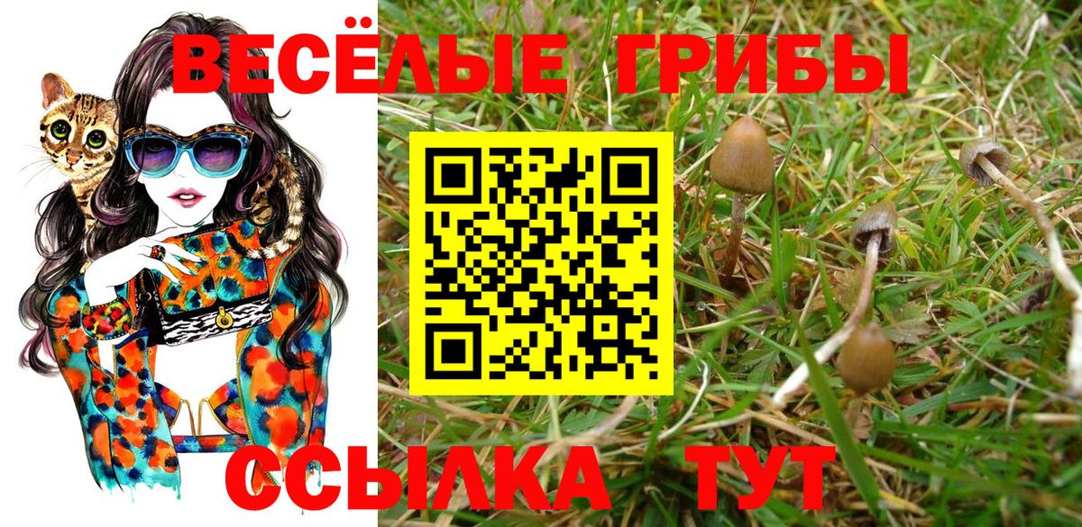 Сыктывкар  Псилоцибиновые грибы Magic Shrooms  Вход с VPN 